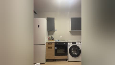 A video of a compact, minimalist kitchen with beige walls and light wood flooring. Features include a white fridge, a light-colored wooden cabinet, a gray microwave, a black washer-dryer, and a small white sink. The space is clean and utilitarian.