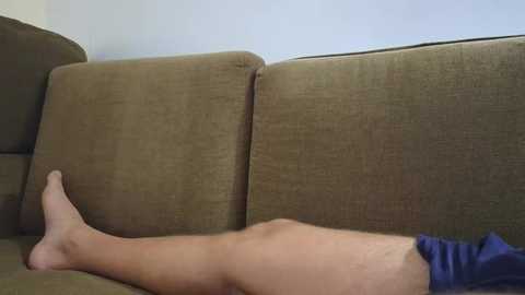 A video captures a person lying on a green fabric couch, their bare legs extending towards the camera, clad in blue shorts. The background shows a plain white wall.