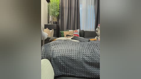 A video of a modern living room with a gray textured blanket on a beige sofa, a large fern plant, and sheer curtains in the background.