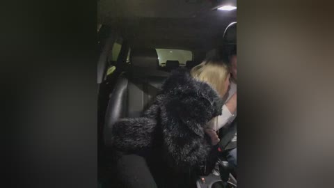 A video shows a black Great Dane dog in the backseat of a dark car, partially obscured by a blurry foreground. The car's interior is dimly lit, and the driver's seat is visible.
