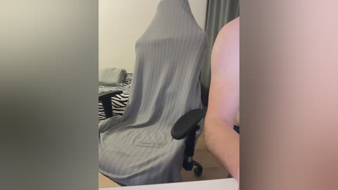 Video of a grey-striped towel covering a chair, zebra-patterned pillow on a bed, and a partially visible person in the background.