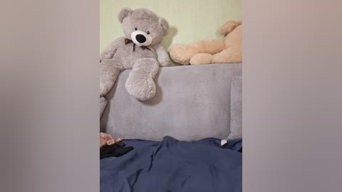 A video of a beige teddy bear and two tan plush toys resting on a gray fabric couch against a green wall. A blue blanket is partially visible on the couch, with a black item (possibly shoes) near the bottom left corner.