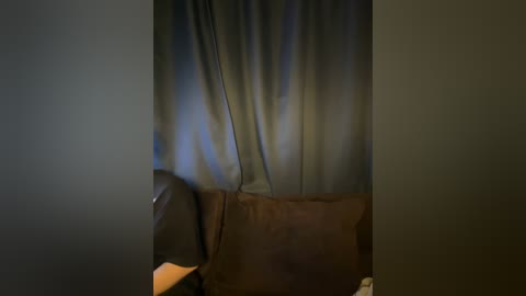 A video shows a person sitting on a dark brown leather couch, with a dark, shadowy curtain in the background. The image is slightly blurry, focusing on the texture of the leather and the fabric of the curtain.