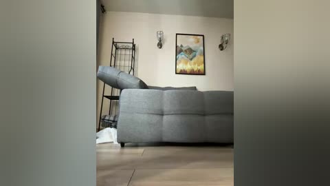 Video of a modern living room with a gray sectional sofa, beige walls, abstract art, a metal cat tower, and a white dog bed on the floor.