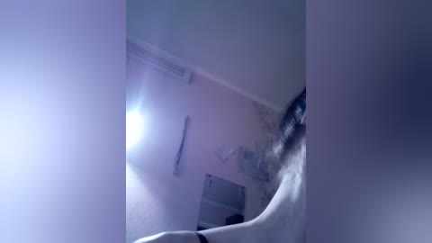 adidascoin free recording from 2025-12-05 00:22:00