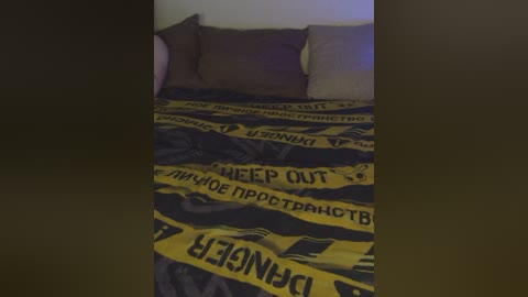 Video of a bed covered with a black and yellow \"DANGER\" caution tape blanket. The bed has a dark brown headboard and two pillows. The lighting is dim, creating a moody atmosphere.