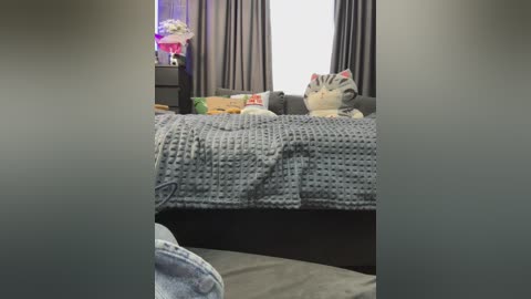 A video of a cozy, dimly-lit bedroom with a bed covered in a gray knitted blanket, featuring stuffed animals and colorful pillows. Dark curtains frame the window.