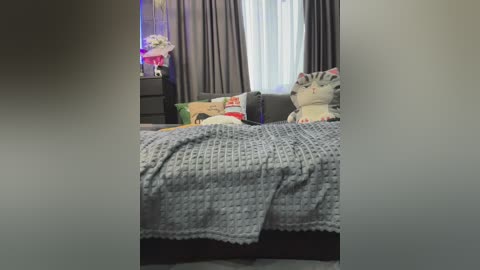 Video of a cozy bedroom with a grey crocheted blanket on a bed, featuring colorful pillows and a plush toy. The room has dark curtains and a nightstand with a flower arrangement.