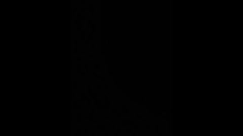 A black and white video of a woman wearing a black dress and standing in a dimly lit room, with a faint, indistinct background. The image is grainy and lacks detailed features.