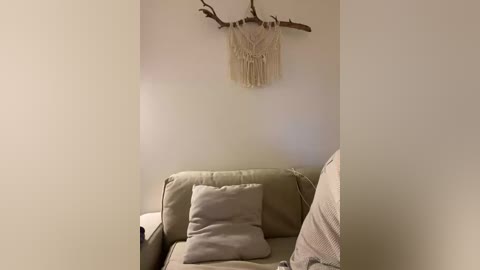 A video of a minimalist living room corner with beige sofa, beige pillow, beige wall, macram\u00e9 wall hanging, and natural light.