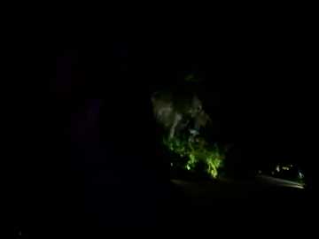 A video of a dark, nighttime scene featuring a silhouetted tree and a dimly lit house on the right, partially obscured by dense foliage. The image is low in contrast and the lighting is minimal, creating a moody, almost surreal atmosphere.