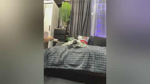 Video of a modern bedroom with gray curtains, a bed covered in a textured gray blanket, a plush green plant, and a person reaching out.