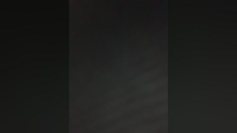 A dark, grainy video with a vertical split. The left side is a blurry, indistinct silhouette, while the right side is a faint, unclear image. The background is mostly black, suggesting low visibility or a night scene.