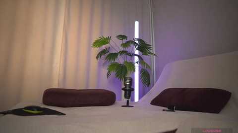 1orgasm1 free recording from 2025-12-05 00:07:00