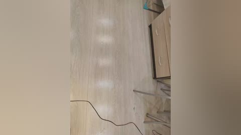 A video of a narrow, dimly lit hallway with a light-colored wooden floor. A black cable snakes along the floor, leading to an unseen source. To the right, a white wall and a metal shelving unit are visible.