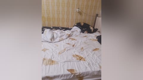 lyda27081 free recording from 2025-12-05 00:07:00