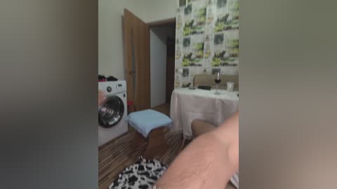 A video showing a cluttered, small bathroom with a washing machine, a dog bed, and a sink with a wine glass. The background has a green and white patterned wallpaper.