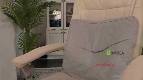 Video of a beige recliner chair with a gray cushion featuring a logo and \"Dmoga\" text. Background includes a tall green plant, a white cabinet, and a TV.