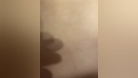 A blurred video shows a person's shadow cast on a beige wall, suggesting a dark silhouette against a light background. The shadow appears to be standing, but details are indistinct.