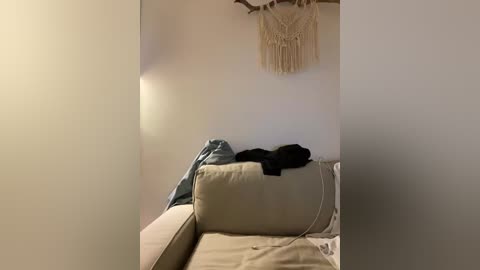 Video of a dimly lit, cozy living room with a beige sofa, black cat on cushions, blue blanket, and macram\u00e9 wall hanging.