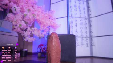 Video of a large, erect penis in a studio setting with a pink cherry blossom tree, white Japanese shoji screens, and a gray cushion.