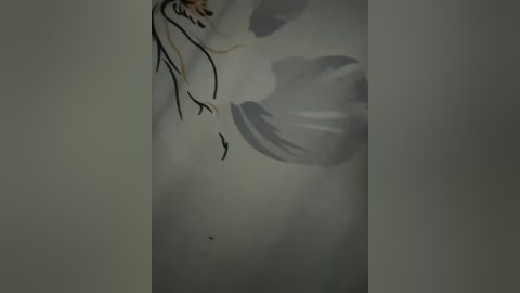 riga_5 free recording from 2025-12-05 00:07:00