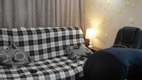 A video of a cozy living room with a plaid-patterned sofa, adorned with decorative pillows, a lamp, and a chair in the background.