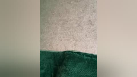 _summer_ free recording from 2025-12-05 00:07:00