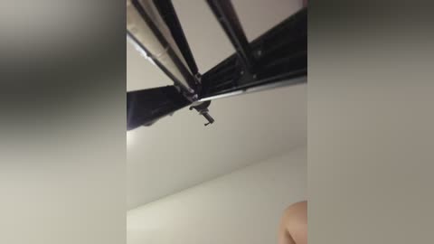 chiculya free recording from 2025-12-05 00:22:00