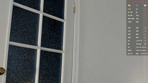 Video of a white door with frosted glass panels, featuring a list of names and numbers on the right side.