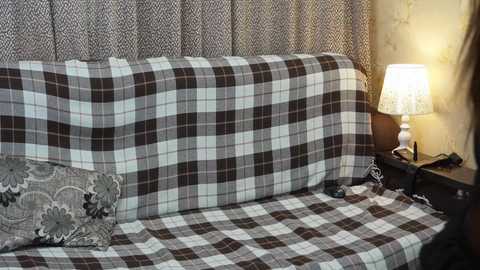 Video of a cozy, plaid-covered sofa with a matching pillow, a dark wooden side table, and a lit table lamp with a white lampshade.