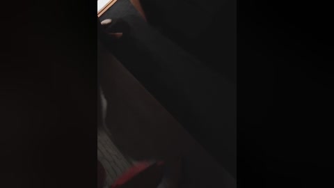 sexycouple69 free recording from 2025-12-05 00:07:00