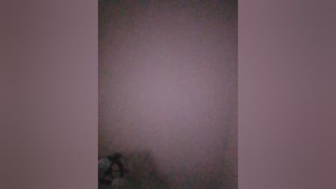 laef1881 free recording from 2025-12-05 00:22:00