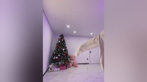 potifays free recording from 2025-12-05 01:18:00