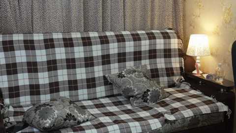 Video of a plaid-covered sofa with matching throw pillows, set against patterned wallpaper and a lit lamp on a dark wooden side table.