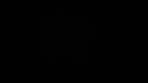 ladyemily free recording from 2025-12-05 00:07:00