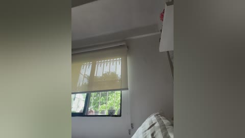 sallyeleins free recording from 2025-12-05 00:07:00