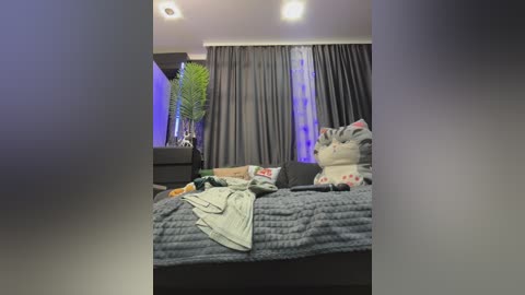 vero19nika free recording from 2025-12-05 00:07:00