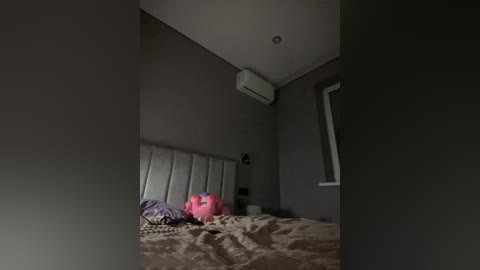 vikaandmilana free recording from 2025-12-05 00:22:00