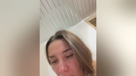 cat_meowa free recording from 2025-12-05 01:41:00