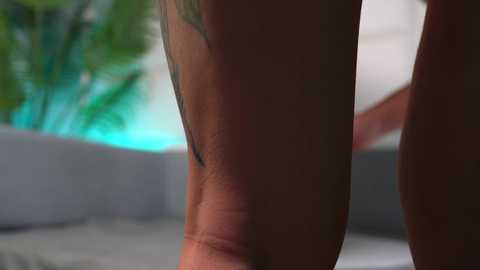 julia93cherry free recording from 2025-12-05 01:18:00