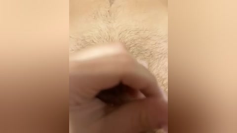 parapapa1_1 free recording from 2025-12-05 01:41:00