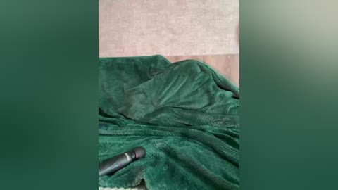 _summer_ free recording from 2025-12-06 02:59:00