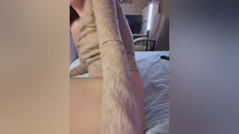 milashanyasha free recording from 2025-12-07 00:12:00