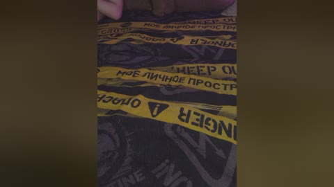 plohishi2 free recording from 2025-12-06 01:22:00