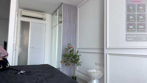 travel_couple free recording from 2025-12-06 00:05:00