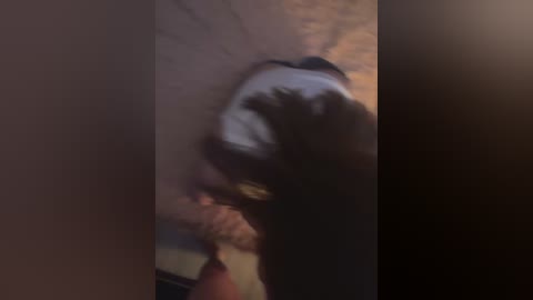 velaskesssz free recording from 2025-12-06 00:24:00