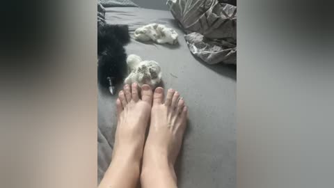 alissalexx free recording from 2025-12-07 00:30:00