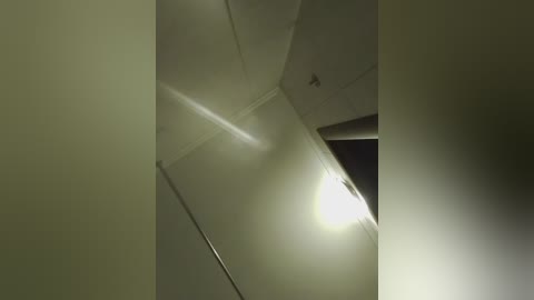 laylay13 free recording from 2025-12-08 00:21:00