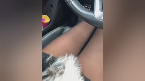 linahelen free recording from 2025-12-07 00:39:00